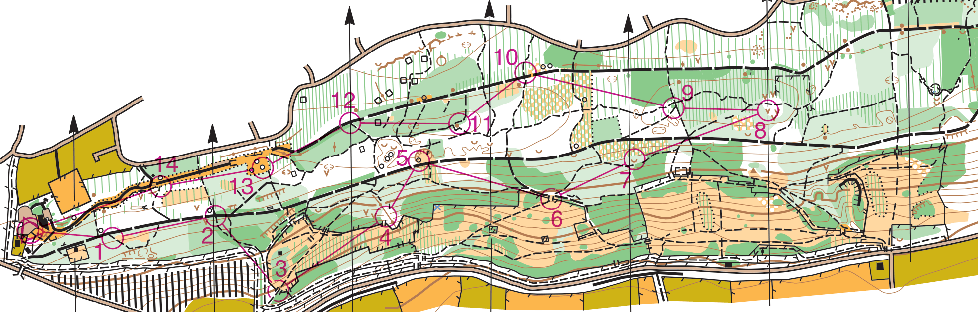 Example of a Course map